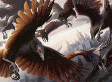 Murder of Crows