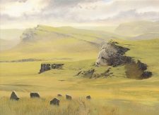 Plains