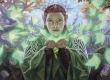 Pollenbright Druid