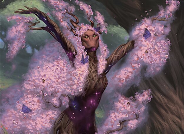 Sanctum Weaver