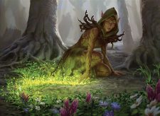 Skyshroud Claim