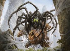 Skysnare Spider