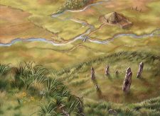 Sungrass Prairie