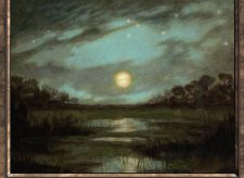 Swamp