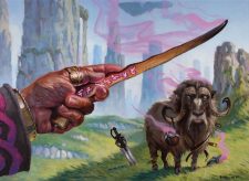 Transmogrifying Wand