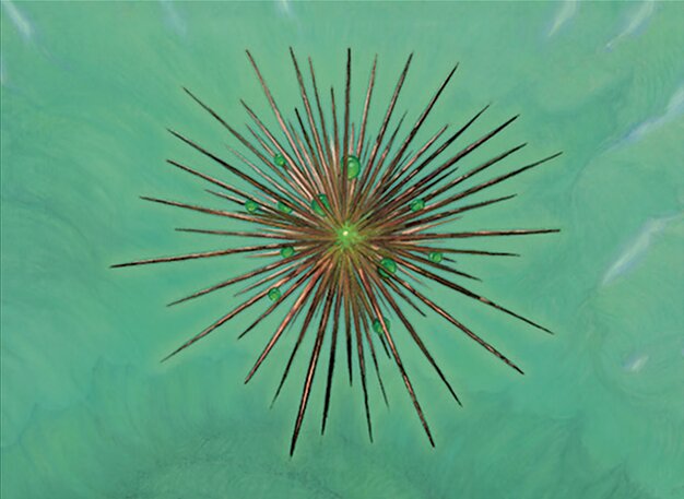 Wayfarer’s Bauble