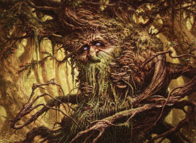 Colfenor, the Last Yew