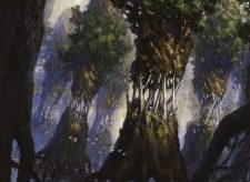 Evolving Wilds