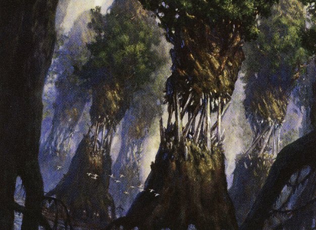 Evolving Wilds
