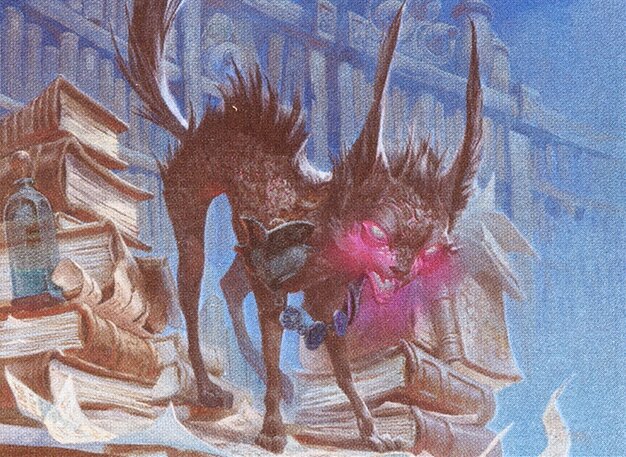Falthis, Shadowcat Familiar