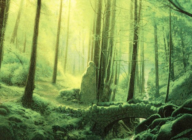 Forest