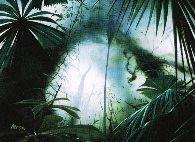 Jungle Basin