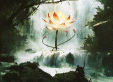 Khalni Heart Expedition