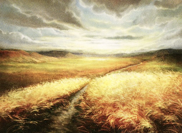Plains