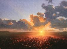 Secluded Steppe