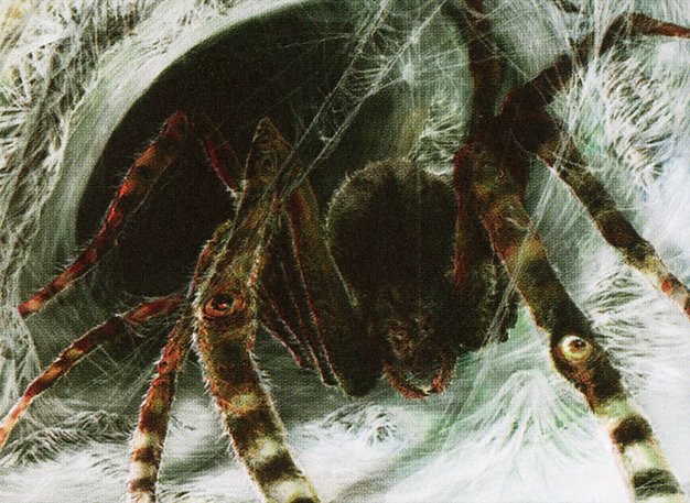 Sentinel Spider