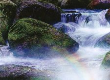 Vivid Creek