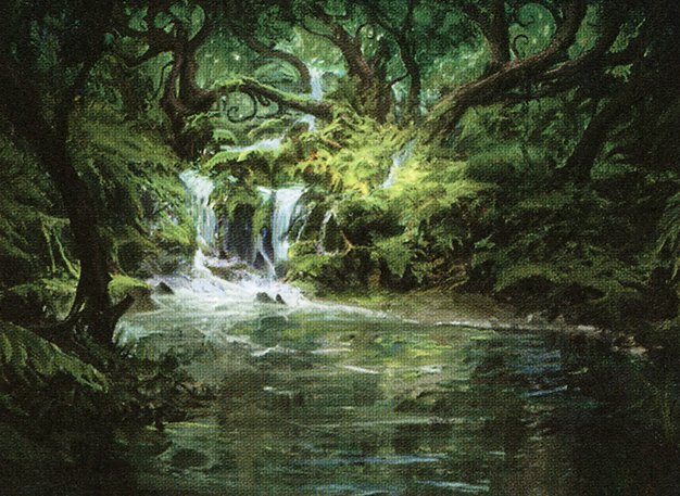 Woodland Stream