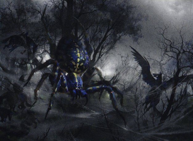 Netcaster Spider