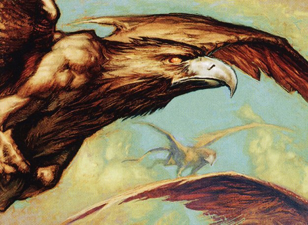 Wild Griffin