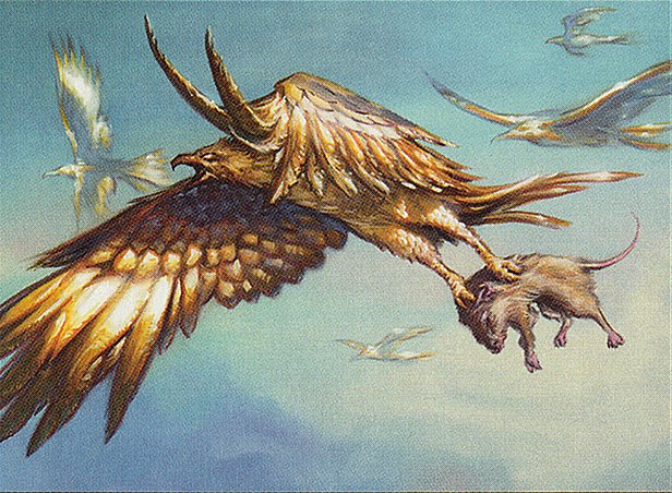Apex Hawks