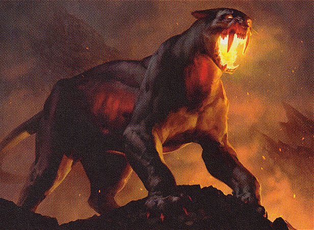 Chartooth Cougar