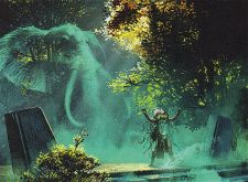 Elephant Guide
