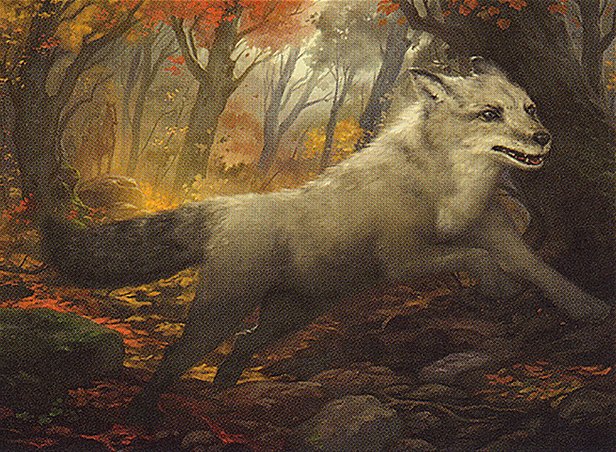 Silverchase Fox