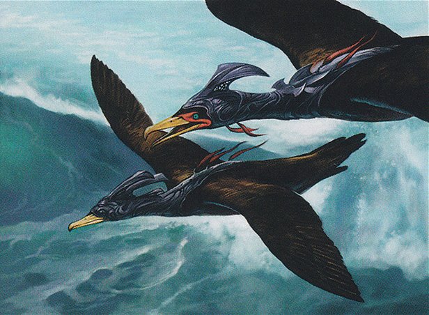 Esper Cormorants