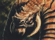 Kranioceros