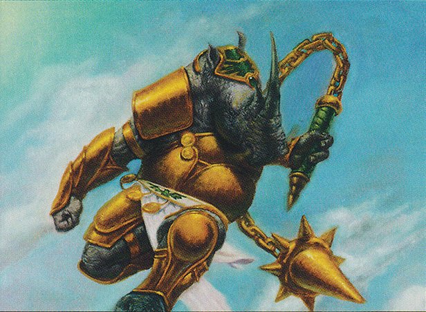 Rhox Bodyguard