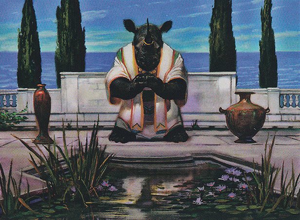 Rhox Meditant