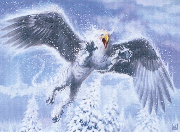 Boreal Griffin
