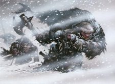 Cover of Winter