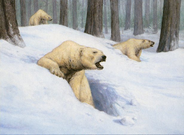 Hibernation’s End