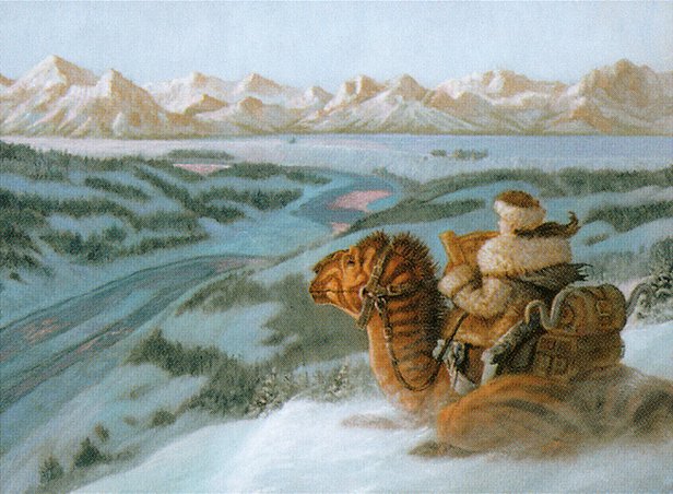 Into the North
