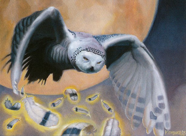 Rimefeather Owl