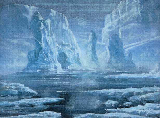 Snow-Covered Swamp