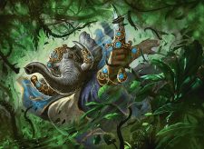Loxodon Surveyor