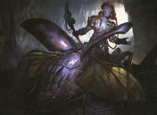 Beetleform Mage