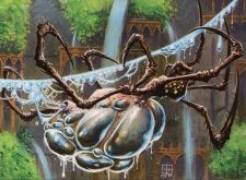 Aquastrand Spider