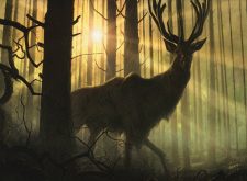 Dawntreader Elk