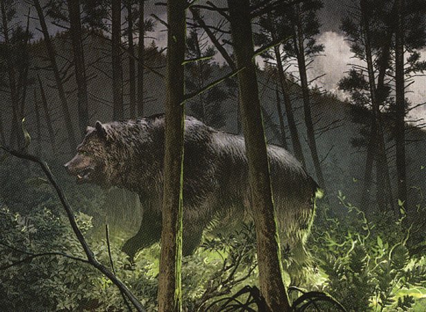 Favor of the Woods