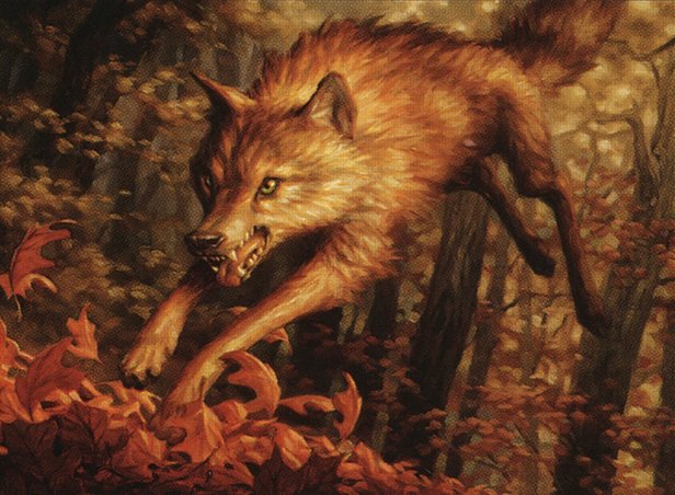Young Wolf
