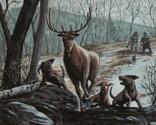 Bounty of the Hunt