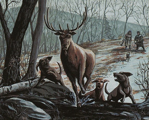 Bounty of the Hunt