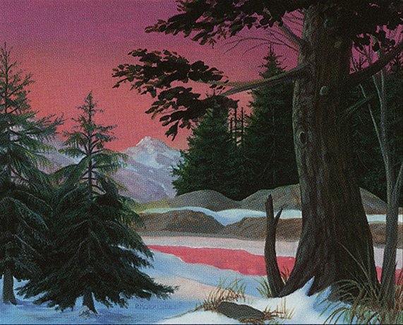 Forest