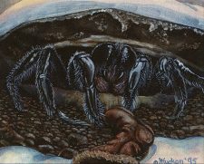 Giant Trap Door Spider