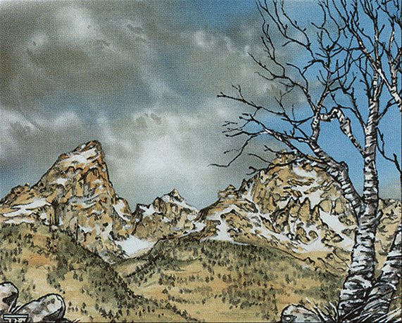 Mountain