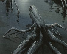 Swamp